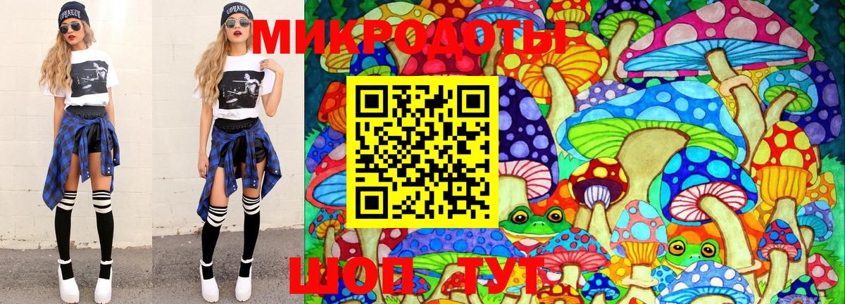 Галлюциногенные грибы мицелий Богданович