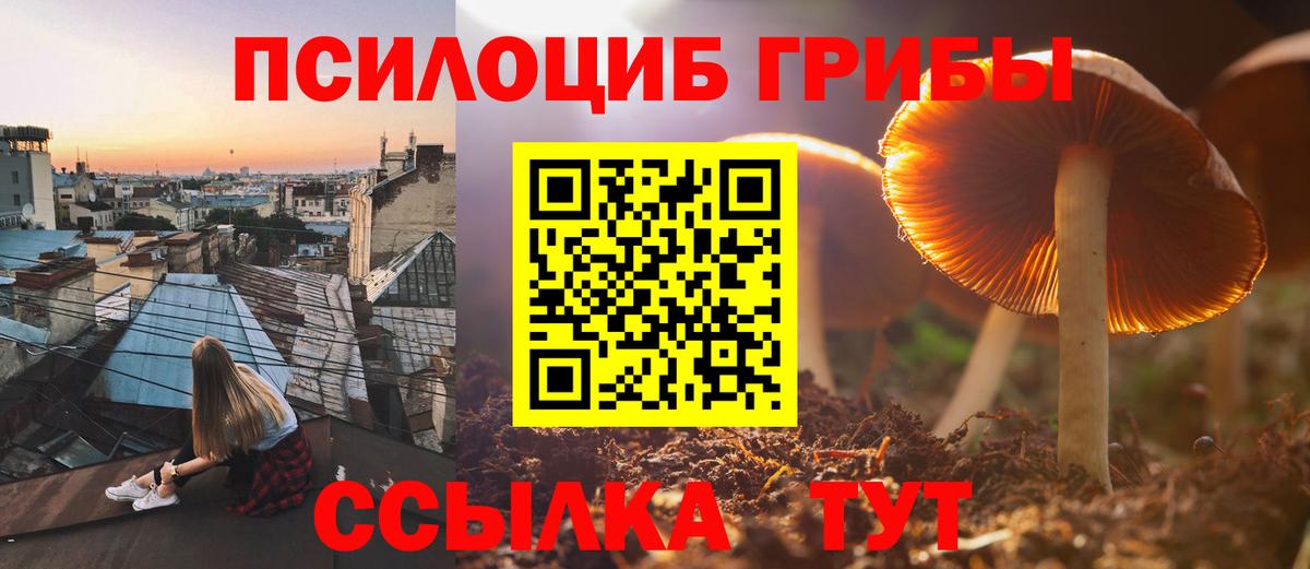 Псилоцибиновые грибы MAGIC MUSHROOMS  Вход с VPN  Богданович 